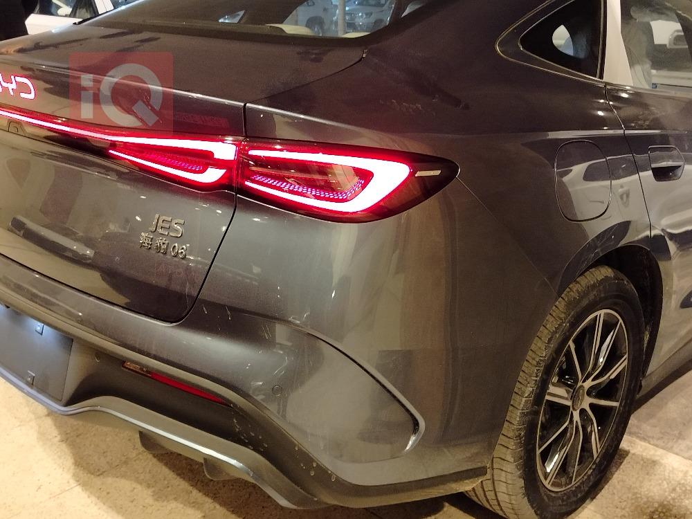 بي واي دي سيليون 06 DM-i